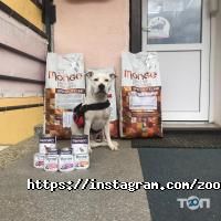 Ветеринарные клиники 4 лапы фото