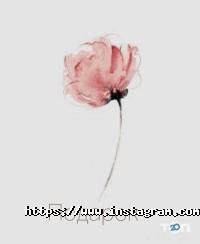 Студия Зои Соболевой Одесса фото