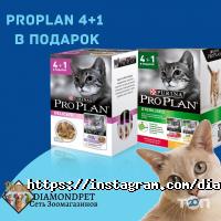 отзывы о DiamondPet фото