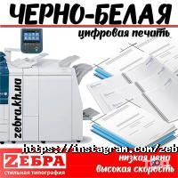 Рекламні, видавничі, інформаційні послуги Zебра фото