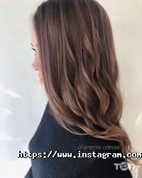 Шантеклер Одеса фото