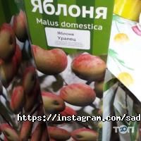 САД И ОГОРОД Астана фото