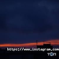 Олеандр, фото-відео майстерня фото