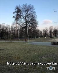 Люция отзывы фото