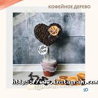 відгуки про Кит фото