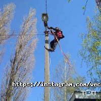 Vector Київ фото