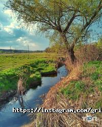 Фотостудія Flash Studio відгуки фото