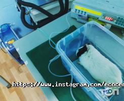 відгуки про EcoCentr фото