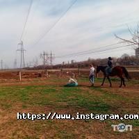 Мінтака Одеса фото