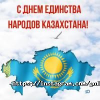 Gold Study & TRAVEL отзывы фото