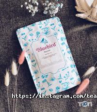 Bluebird Харків фото