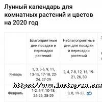 World of flowers відгуки фото