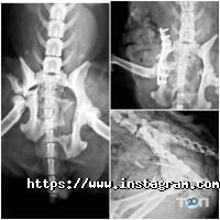 відгуки про Ветдопомога фото