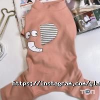 відгуки про Glamour Dog фото