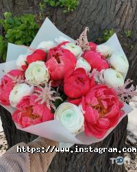 Квіти від Катерини відгуки фото