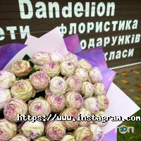 Dandelion, флористика та декор фото