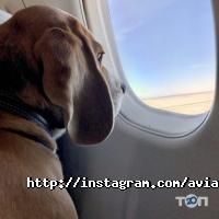 Туристичні агентства, екскурсії Авіакаса фото