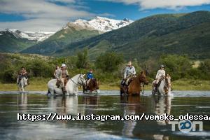 Вемекс Одеса фото