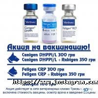 Тріовет відгуки фото