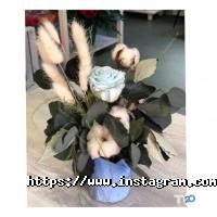 Etoile Flora Київ фото