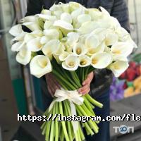 Fleur delis Астана фото