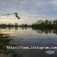 відгуки про Олеандр фото
