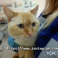 Ветеринарні клініки Друг фото