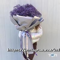 отзывы о Колибри фото