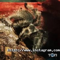 EcoCentr Харків фото