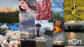 Одеський державний аграрний університет ОДАУ Одеса фото