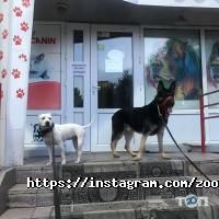 4 лапы Астана фото