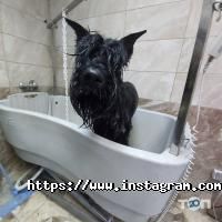 отзывы о СимпотяЖка фото