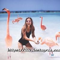 23 travel, туристичне агентство фото