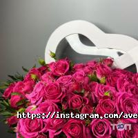 Авеста Флора Винница фото