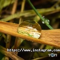 Фото, відео послуги Фотограф Володимир Ковалюк фото