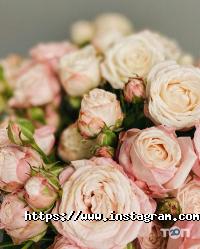 Квітковий дім, магазин квітів фото