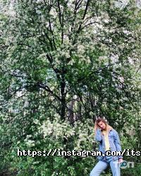 It svit відгуки фото