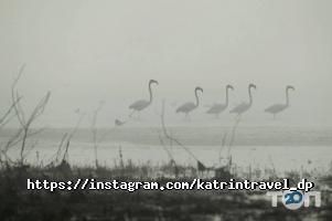 Katrin Travel Дніпро фото