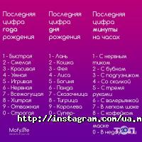 Mofy Life, онлайн-сервіс створення інстабуків фото