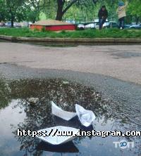 Олеандр Чернігів фото