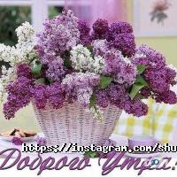 ShuShu відгуки фото