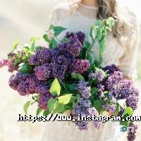 Весільні клопоти відгуки фото