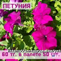 Флоренция отзывы фото
