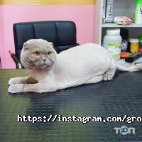 Зоомагазини і послуги для тварин Mimi pets фото