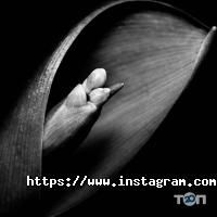 Фотограф Володимир Ковалюк відгуки фото