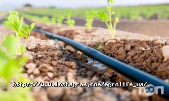 Agrolife, садово-городний інтернет-магазин фото