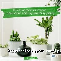 LG Electronics Almaty Kazakhstan Алматы фото