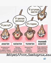 відгуки про Авторська школа-студія Оксани Новіцької фото