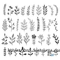 VeAn Сумы фото