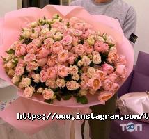 Магазини квітів Lavender фото